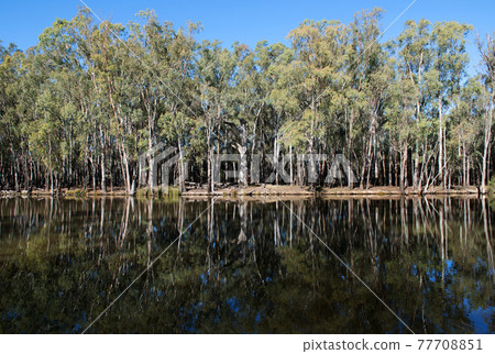 Gogeldrie Weir Scene Gogeldrie Weir Scene 77708851