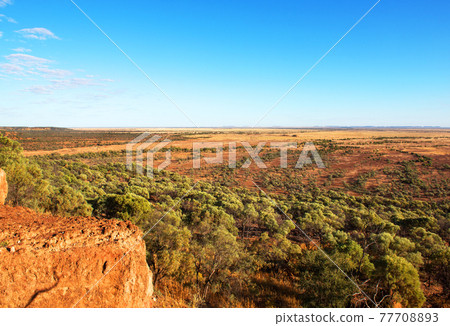 The Plains surrounding the town of Winton, in western Queensland, Australia 77708893
