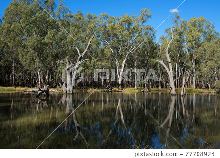 Gogeldrie Weir Scene 77708923