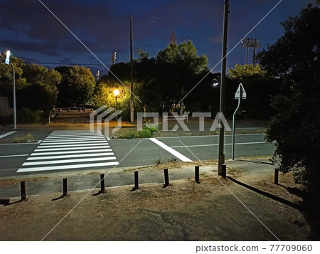 Midnight pedestrian crossing Midnight pedestrian crossing 77709060