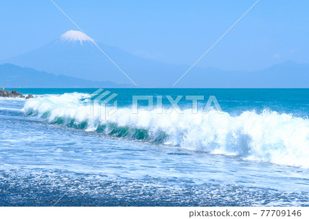 View Mt. Fuji from Miho's Matsubara 77709146