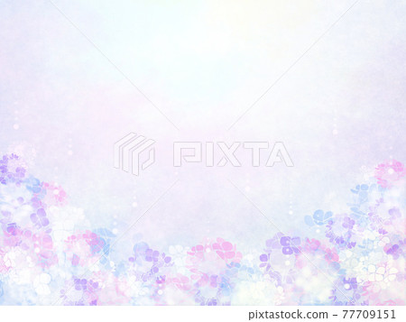 雨季材質 夢幻繡球背景 側身 雨季材質 夢幻繡球背景 側身 77709151