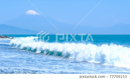 View Mt. Fuji from Miho's Matsubara 77709153
