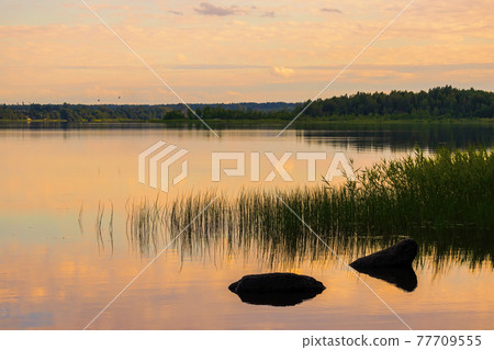 Beautiful summer landscape. View of the lake and forest. Beautiful summer landscape. View of the lake and forest. 77709555