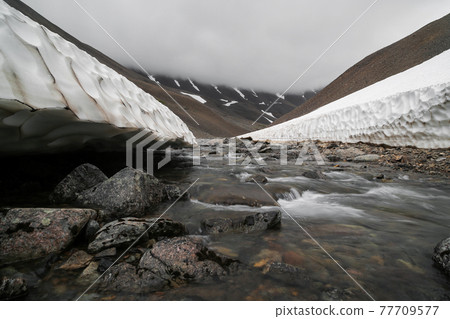 Summer mountain arctic landscape Summer mountain arctic landscape 77709577