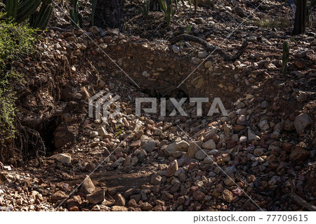 Abandoned Sapphire Fossicking Hole 77709615