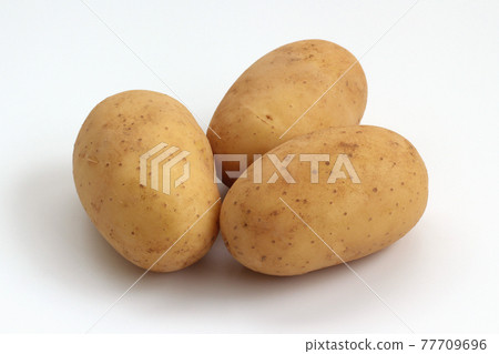 Potato (Pilka) Potato (Pilka) 77709696