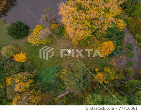 Aerial view of marriage couple lying in a shape of heart made of fall Autumn leafes woods drone photo romantic love Aerial view of marriage couple lying in a shape of heart made of fall Autumn leafes woods drone photo romantic love 77710061