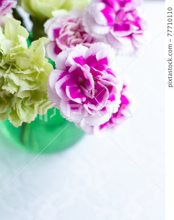 Green and pink carnations 77710110