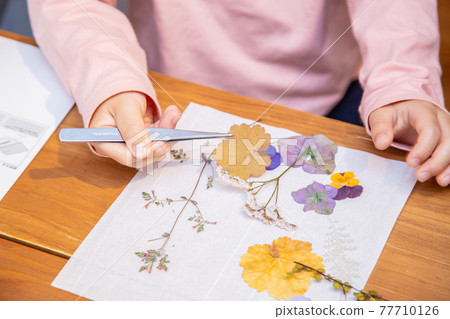 Pressed flowers with children at home Pressed flowers with children at home 77710126