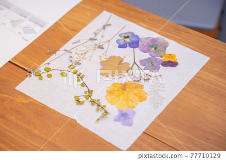 Pressed flowers with children at home Pressed flowers with children at home 77710129