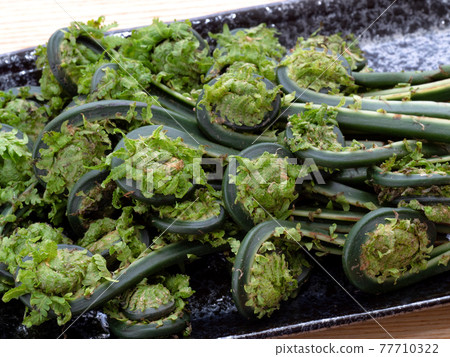 野生蔬菜Kogomi 野生蔬菜Kogomi 77710322