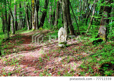 林中石佛 古石碑 古石佛部 2105 77711559