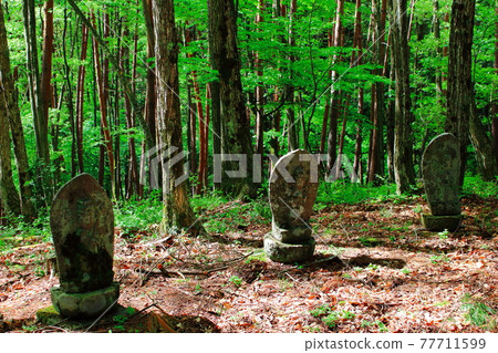 Stone Buddha in the forest Ancient stone monument Ancient stone Buddha part 2105 77711599