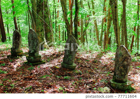 Stone Buddha in the forest Ancient stone monument Ancient stone Buddha part 2105 Stone Buddha in the forest Ancient stone monument Ancient stone Buddha part 2105 77711604