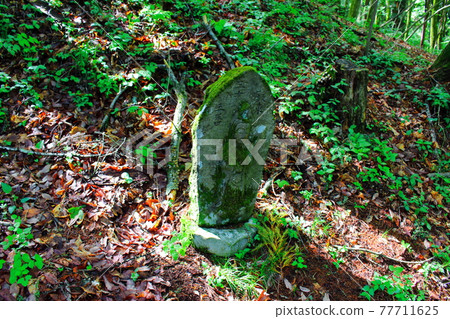 Stone Buddha in the forest Ancient stone monument Ancient stone Buddha part 2105 Stone Buddha in the forest Ancient stone monument Ancient stone Buddha part 2105 77711625
