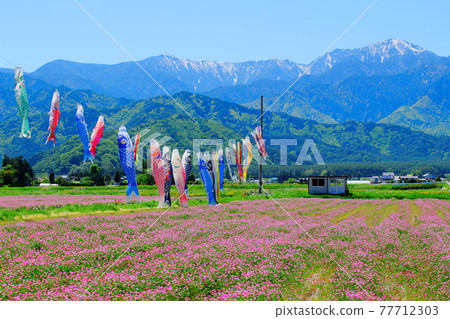 Beautiful Northern Alps Part 2105: Northern Alps and Rural Scenery Part 2105 Beautiful Northern Alps Part 2105: Northern Alps and Rural Scenery Part 2105 77712303