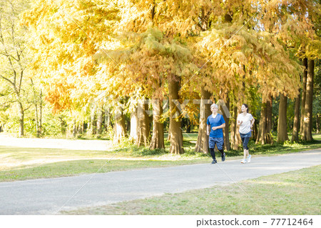 一對老夫婦在公園裡奔跑,紅葉 一對老夫婦在公園裡奔跑,紅葉 77712464