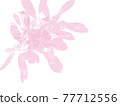 花瓣插畫 77712556