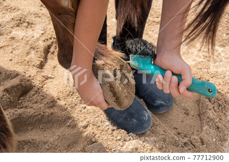 Yonaguni horse hoof carving practice Yonaguni horse hoof carving practice 77712900