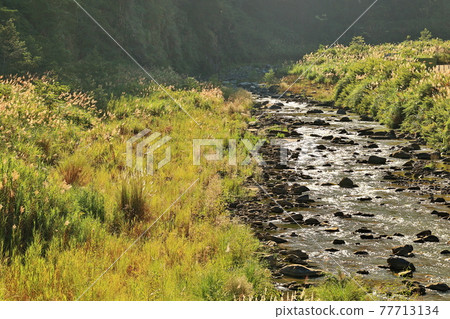 Qingquan Hsinchu Taiwan Qingquan Hsinchu Taiwan 77713134