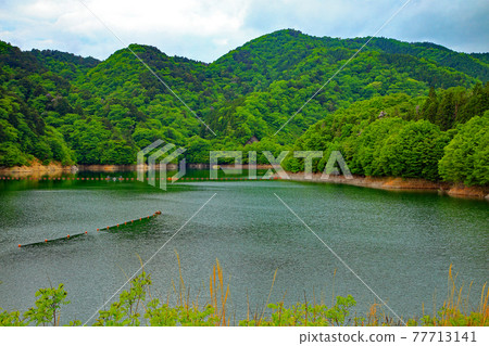 東原川大壩湖 東原川大壩湖 77713141
