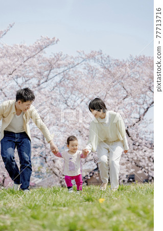 在櫻花公園玩的三個家庭 77713716