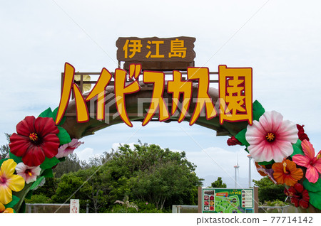 Front gate of Iejima Hibiscus Garden Front gate of Iejima Hibiscus Garden 77714142