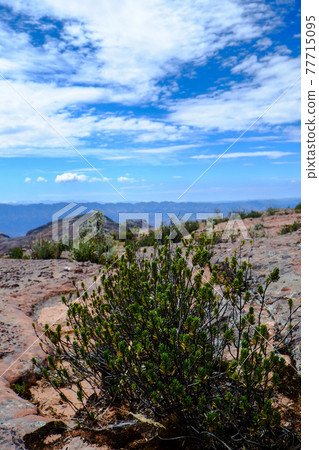 Unexplored region of Bolivia, South America, beautiful terrain and dinosaur footprints in the Torotoro Valley and Umajalanta limestone cave Unexplored region of Bolivia, South America, beautiful terrain and dinosaur footprints in the Torotoro Valley and Umajalanta limestone cave 77715095