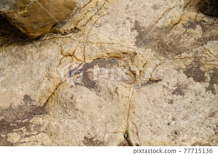 Unexplored region of Bolivia, South America, beautiful terrain and dinosaur footprints in the Torotoro Valley and Umajalanta limestone cave Unexplored region of Bolivia, South America, beautiful terrain and dinosaur footprints in the Torotoro Valley and Umajalanta limestone cave 77715136