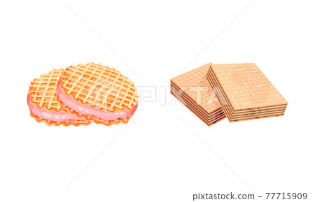 Waffle as Sweet Dish from Leavened Batter or Dough Vector Set Waffle as Sweet Dish from Leavened Batter or Dough Vector Set 77715909