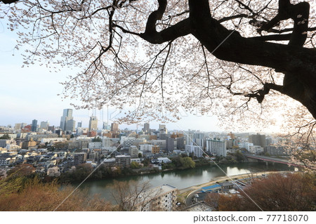 《Miyagi Prefecture》 Sendai Cityscape 77718070