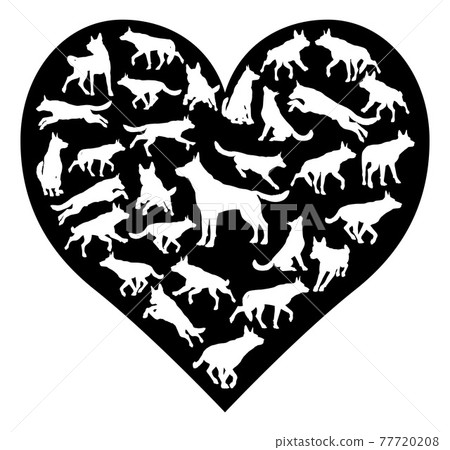German Shepard Alsatian Dog Heart Concept German Shepard Alsatian Dog Heart Concept 77720208