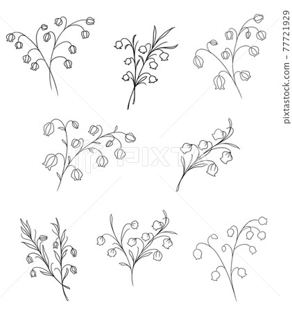 Suzuran handwritten style illustration flower lily of the valley Suzuran handwritten style illustration flower lily of the valley 77721929