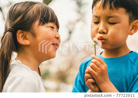 Two kids blowing dandelion fluff 77722011