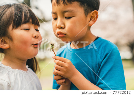 Two kids blowing dandelion fluff 77722012