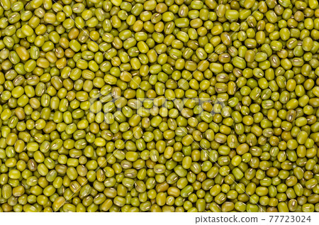 Mung beans, background, from above. Also known as green gram, maash, moong, monggo or munggo. Whole, dried, raw seeds of Vigna radiata, a legume, used cooked or sprouted. Backdrop. Macro, food photo. Mung beans, background, from above. Also known as green gram, maash, moong, monggo or munggo. Whole, dried, raw seeds of Vigna radiata, a legume, used cooked or sprouted. Backdrop. Macro, food photo. 77723024