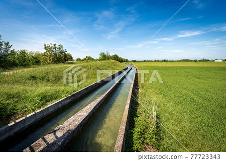 Two Small Concrete Irrigation Canals a Rural Scene - Padan Plain Italy Two Small Concrete Irrigation Canals a Rural Scene - Padan Plain Italy 77723343