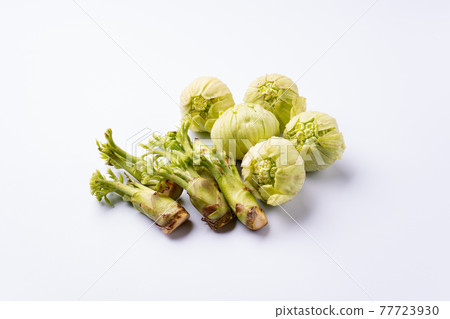 豆芽和起泡的豆芽 77723930