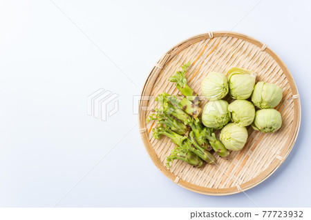 Sprouts and blistering sprouts 77723932
