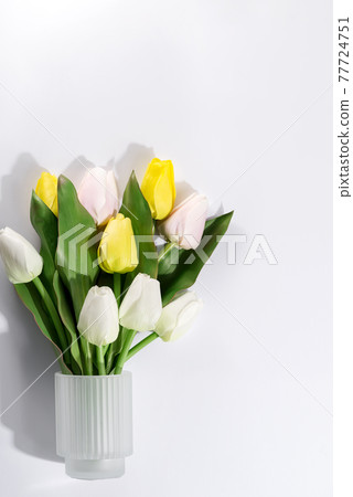 Close-up of a beautiful bouquet of white and yellow tulips in a glass vase on white background 77724751