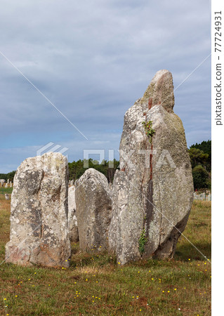 Menhirs of the Alignments of Kermario Menhirs of the Alignments of Kermario 77724931