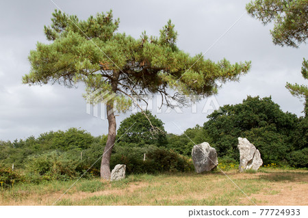 Quadrangle of the Crucuno - circle of menhirs 77724933