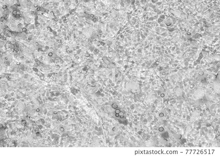 Tiny jelly fish, floating in the water, Balck and White Tiny jelly fish, floating in the water, Balck and White 77726517