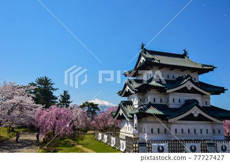 Sakura Festival in Hirosaki Park 77727427