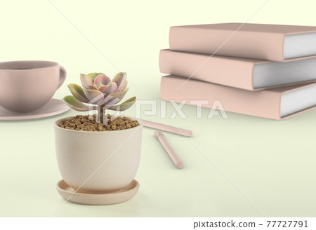 succulent plant cactus pots succulent plant cactus pots 77727791