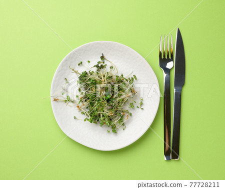 green sprouts of chia, arugula and mustard in a white round plate, top view 77728211