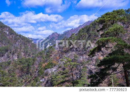 [Yamanashi Prefecture] Autumn Special Place of Scenic, Mitake Shosenkyo Shosenkyo Line 77730923
