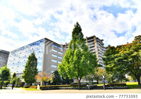 Around Midorimachikita Park (Tachikawa, Tokyo) [2020.10] 77731093