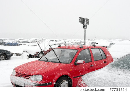 Blizzard Blizzard 77731834